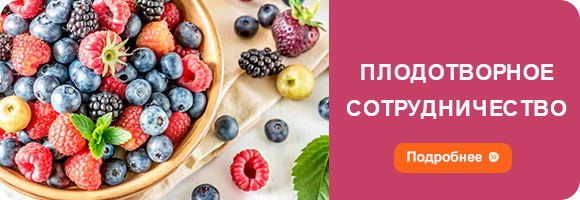 Плодотворное сотрудничество