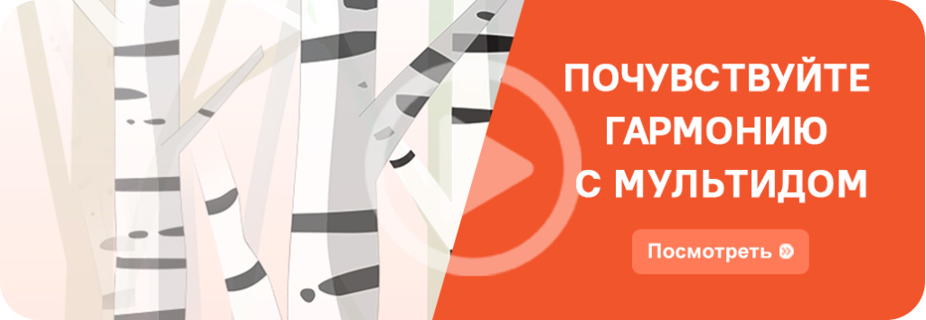 Почувствуйте гармонию с Мультидом
