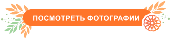 Посмотреть фотографии