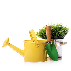 Сезонные товары