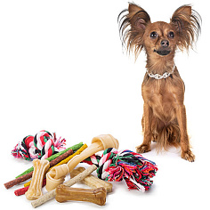 Для домашних питомцев