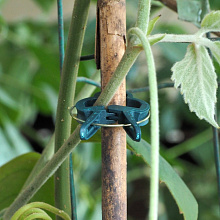 Подвязка растений, набор 20 шт, 4,5х6х1 см