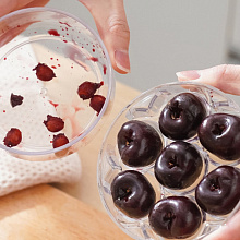 Косточковыдавливатель Помп, 10х10х15 см.