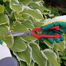 Ножницы садовые, 24 см