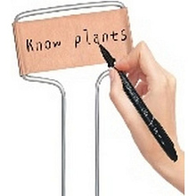 Садовые таблички для растений. Общая длина 15 см. Набор 4 шт.