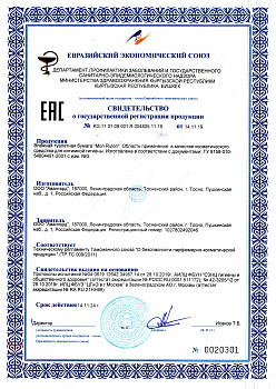 СГР № KG.11.01.09.001.R.004835.11.19