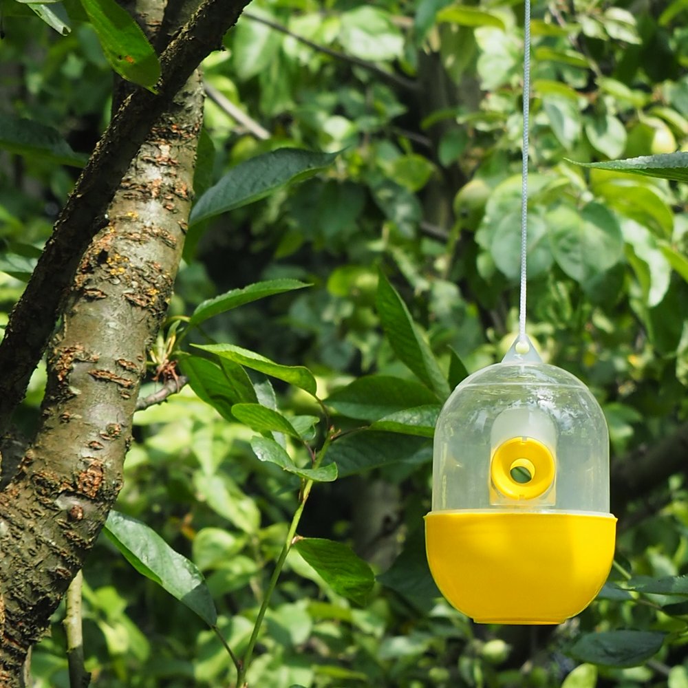 Ловушка для ос и шершней 4 Ловушка для ос и шершней