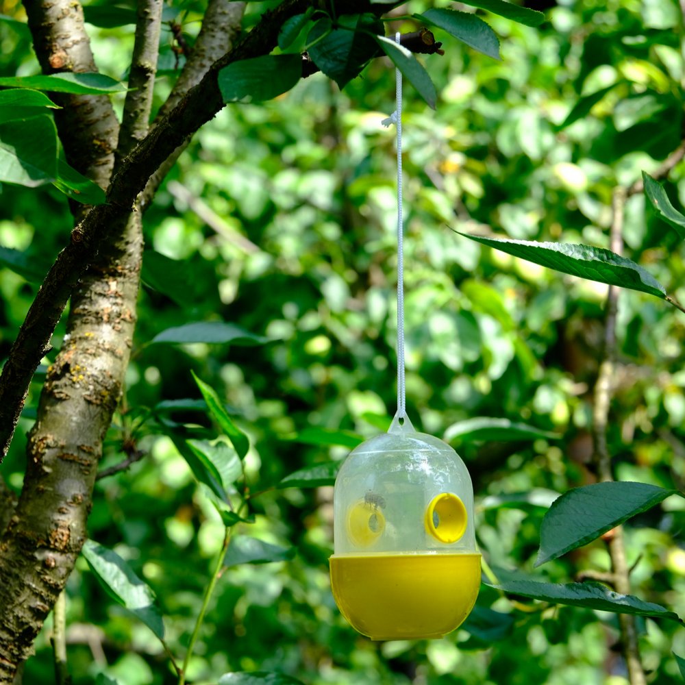 Ловушка для ос и шершней 4 Ловушка для ос и шершней